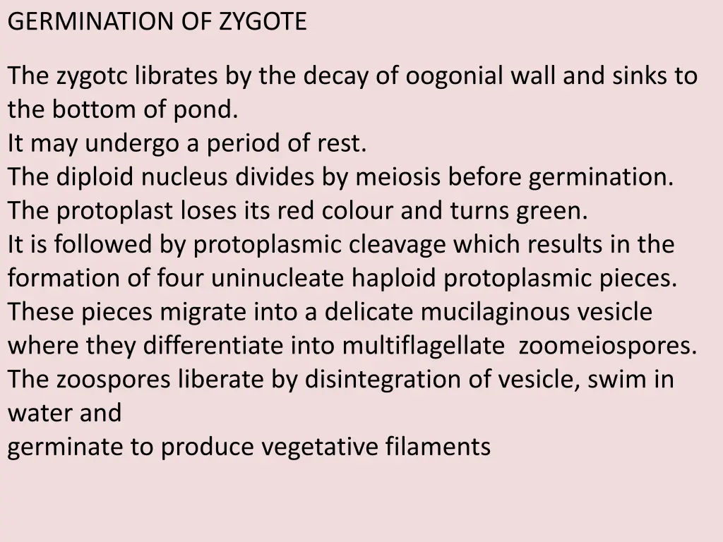 germination of zygote