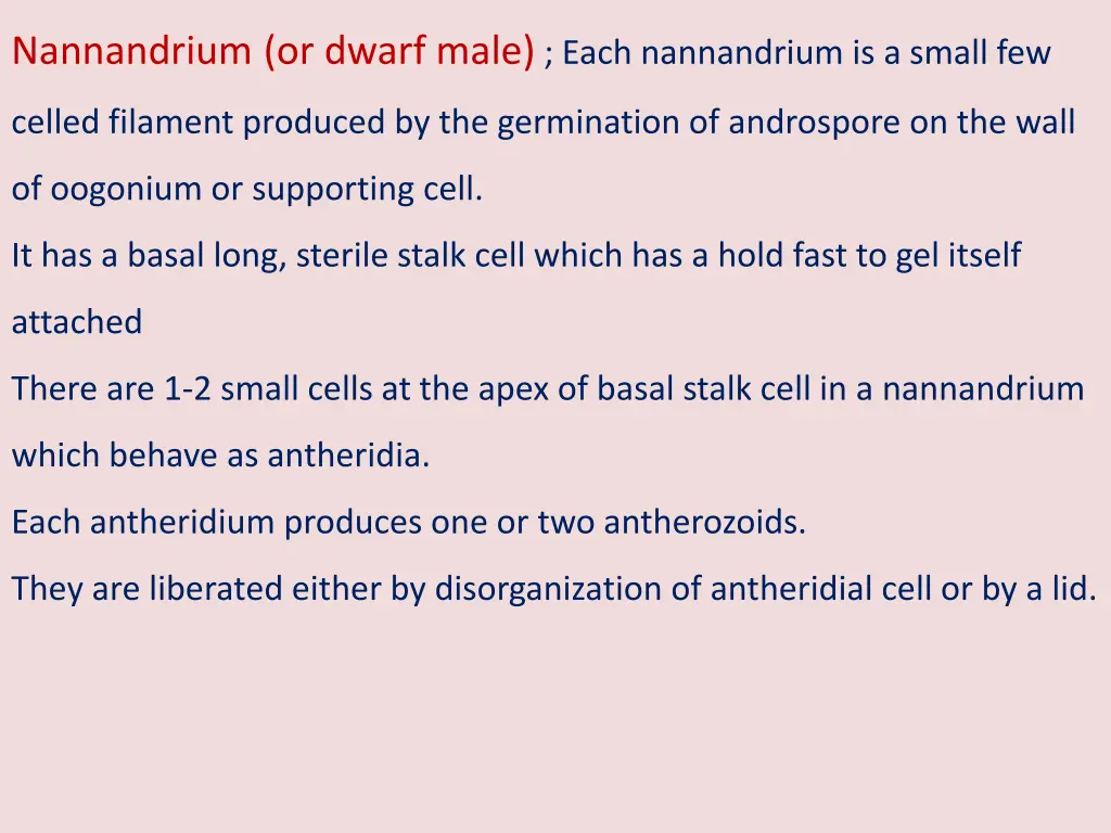 nannandrium or dwarf male each nannandrium