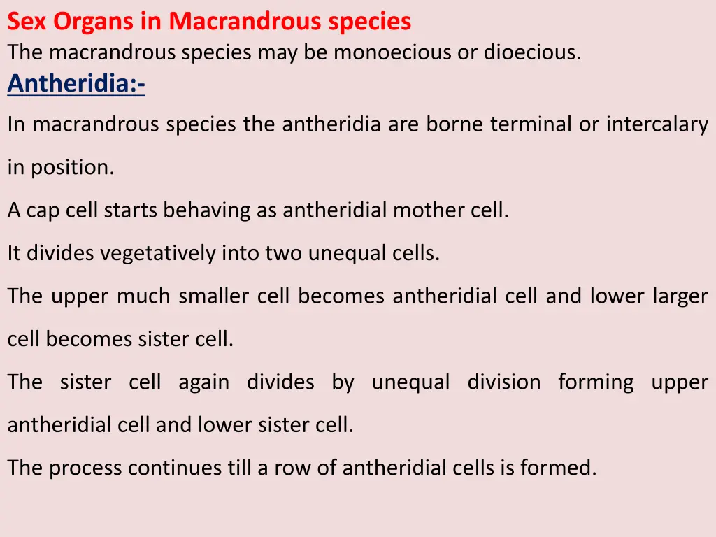 sex organs in macrandrous species the macrandrous