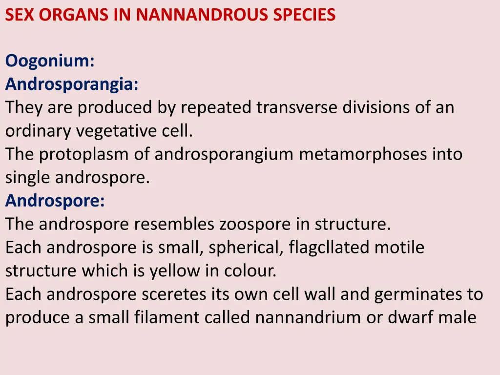 sex organs in nannandrous species