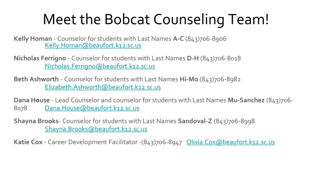 meet the bobcat counseling team