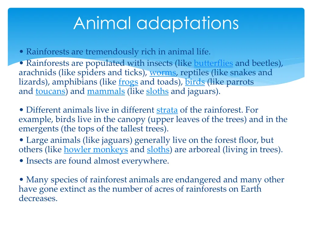 animal adaptations