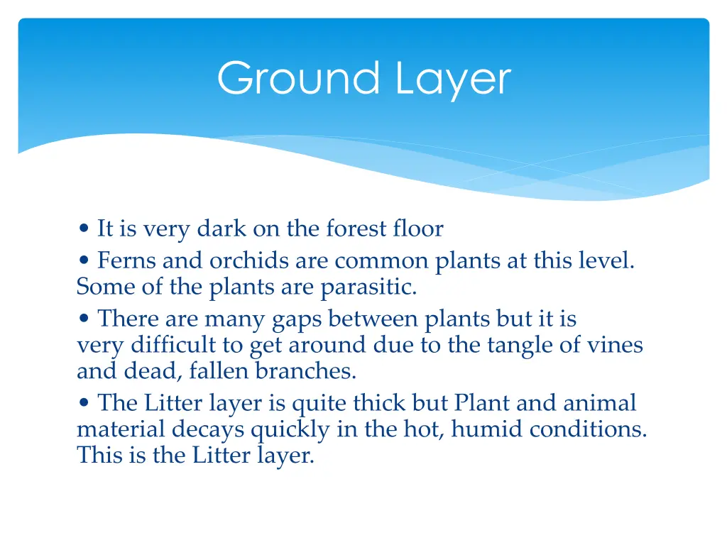 ground layer