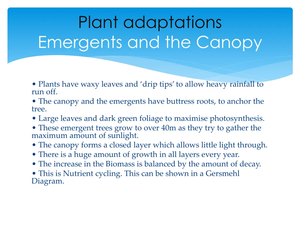 plant adaptations emergents and the canopy
