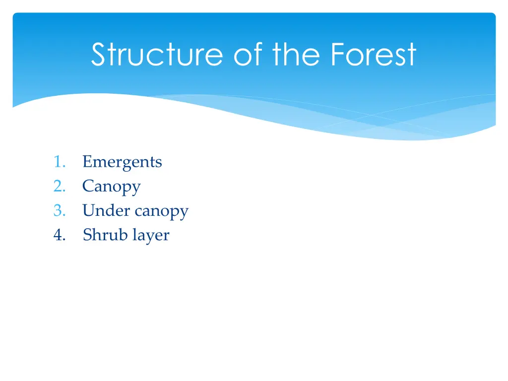 structure of the forest