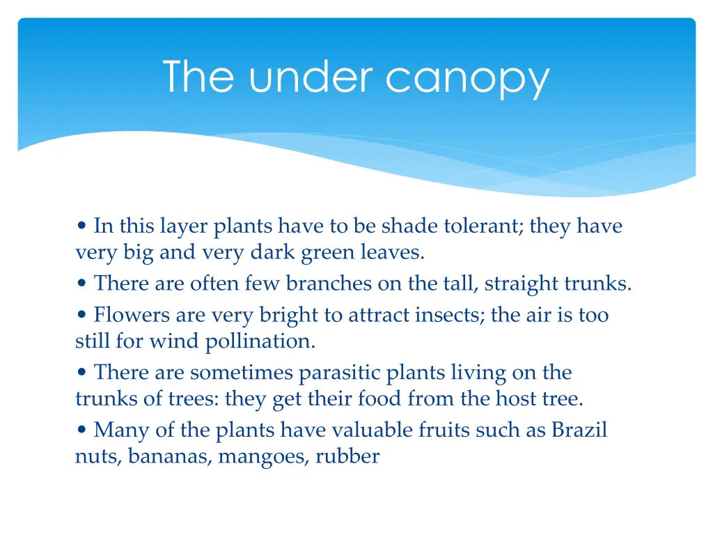 the under canopy