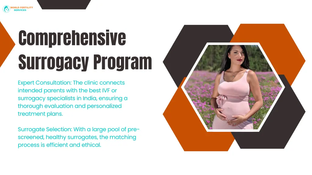 comprehensive surrogacy program