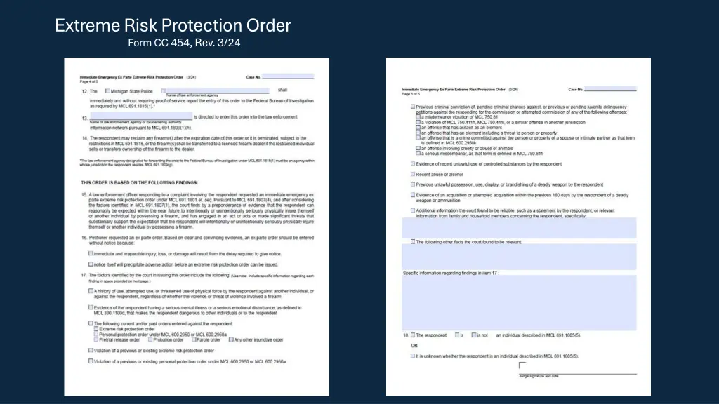 extreme risk protection order form cc 454 rev 3 24 1