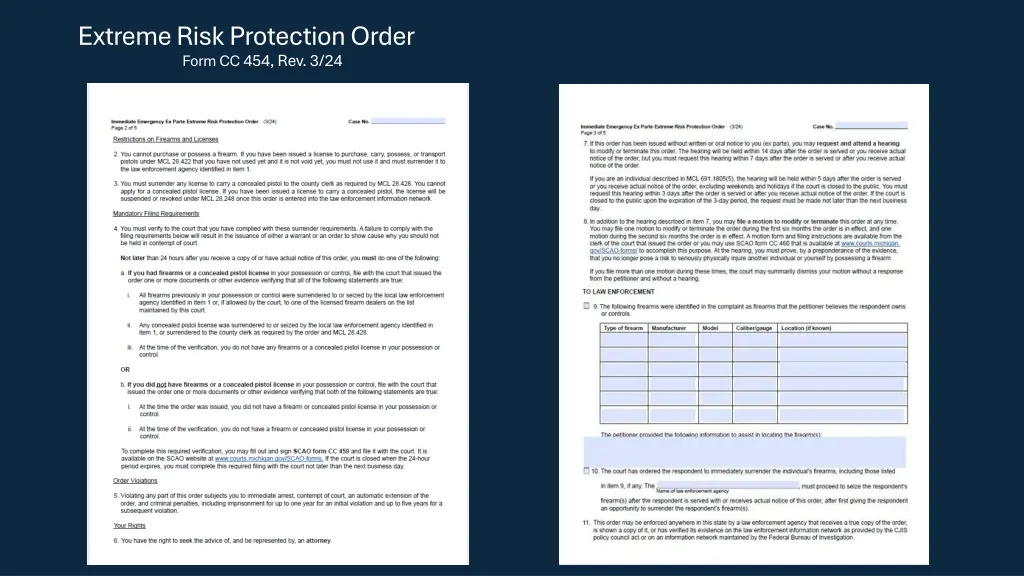 extreme risk protection order form cc 454 rev 3 24