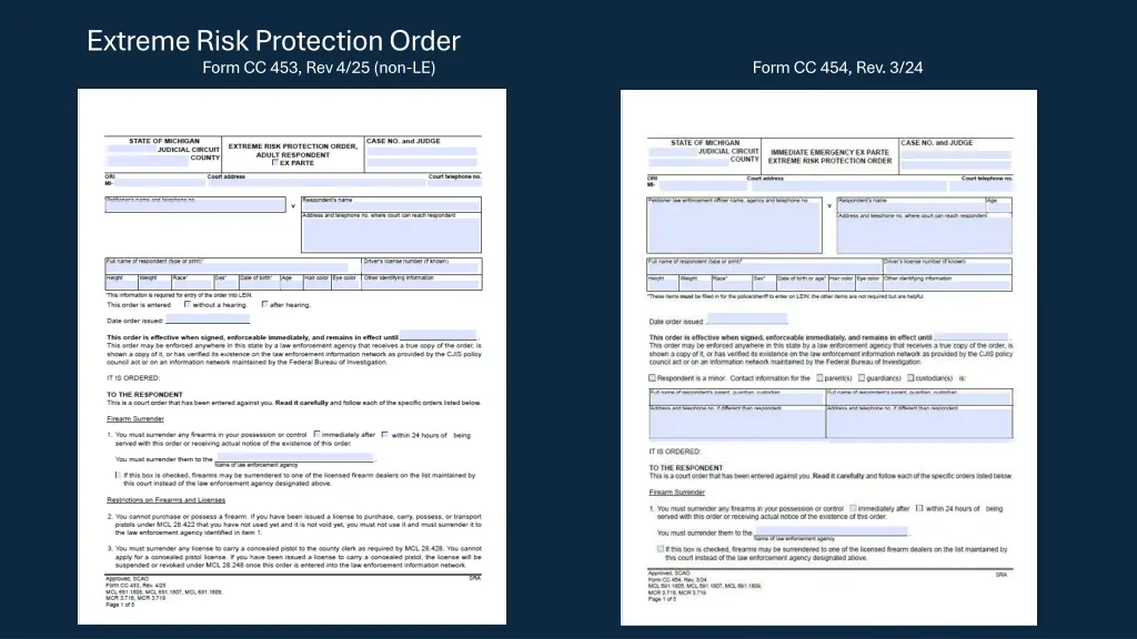 extreme risk protection order form