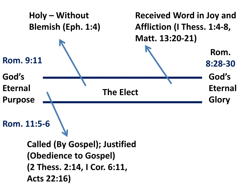 holy without blemish eph 1 4 1