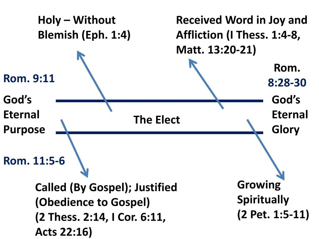 holy without blemish eph 1 4 2