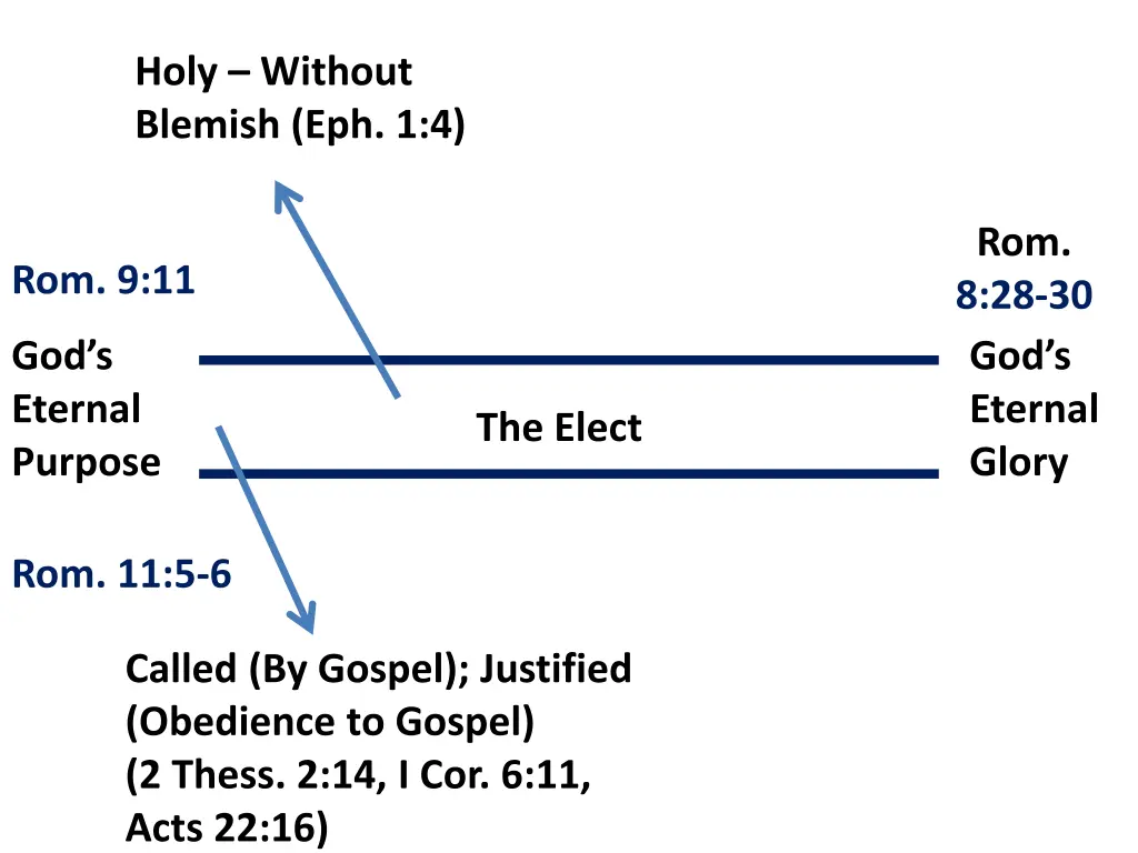 holy without blemish eph 1 4