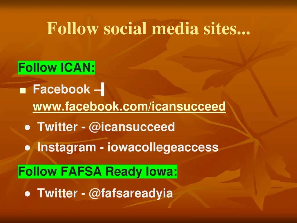 follow social media sites