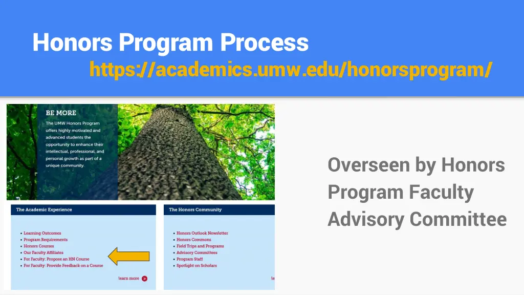 honors program process https academics