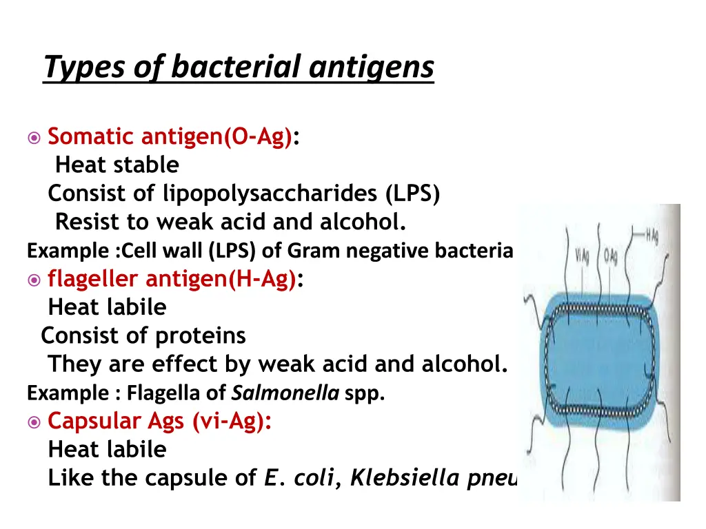 types of bacterial antigens