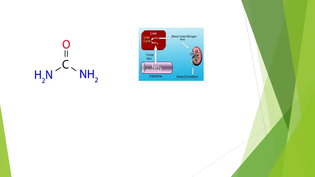 image result for urea