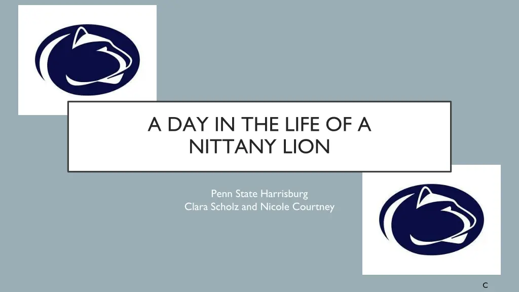 a day in the life of a nittany lion