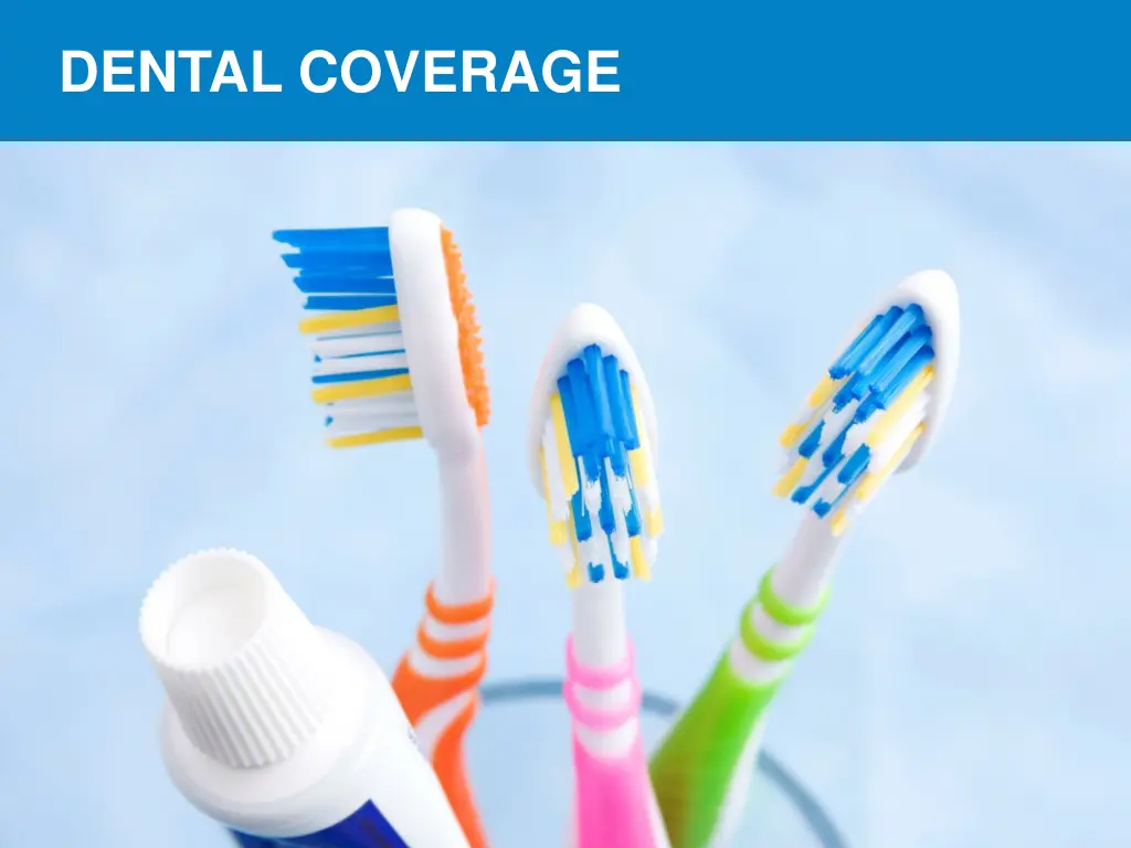 dental coverage