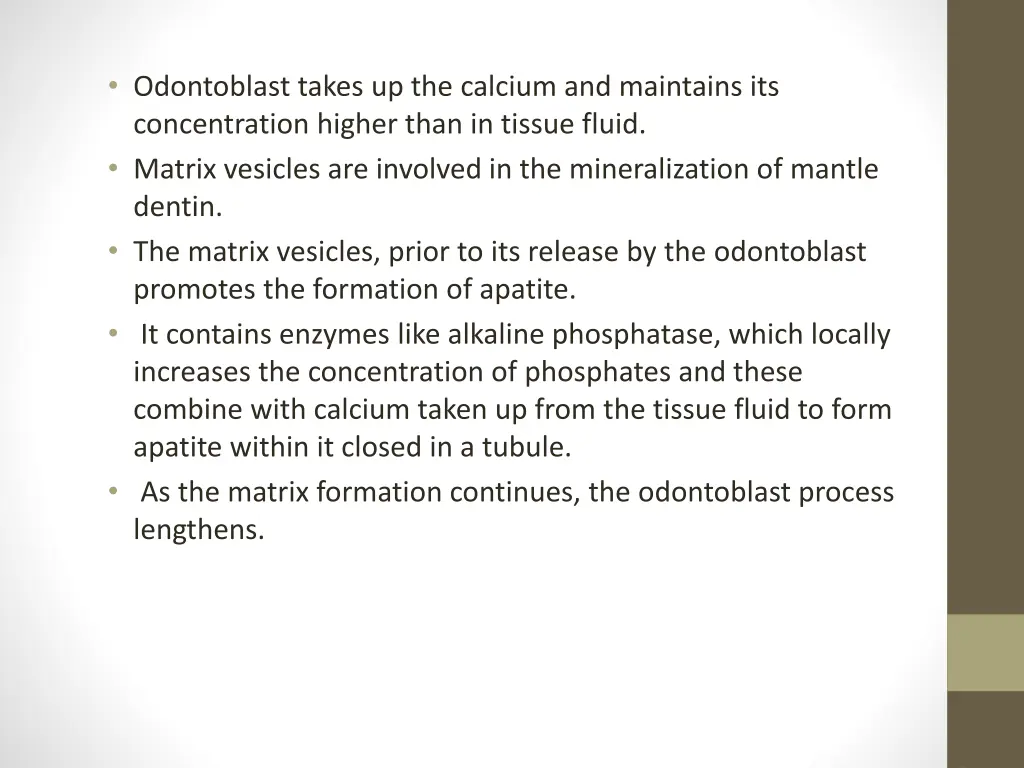 odontoblast takes up the calcium and maintains