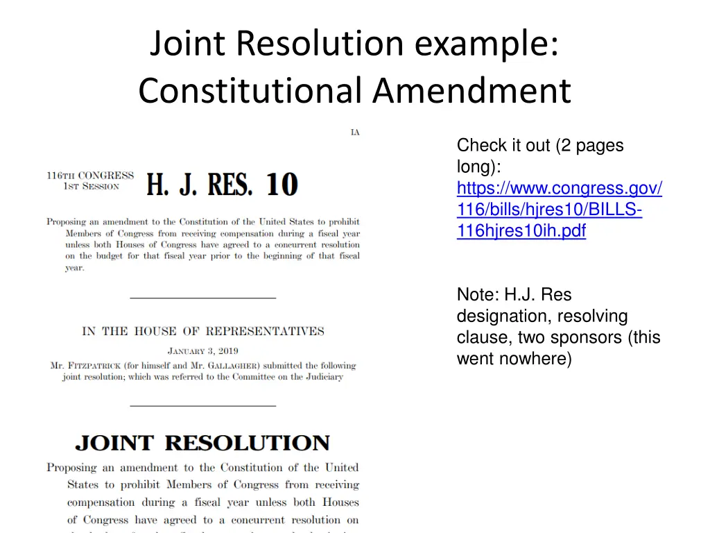 joint resolution example constitutional amendment