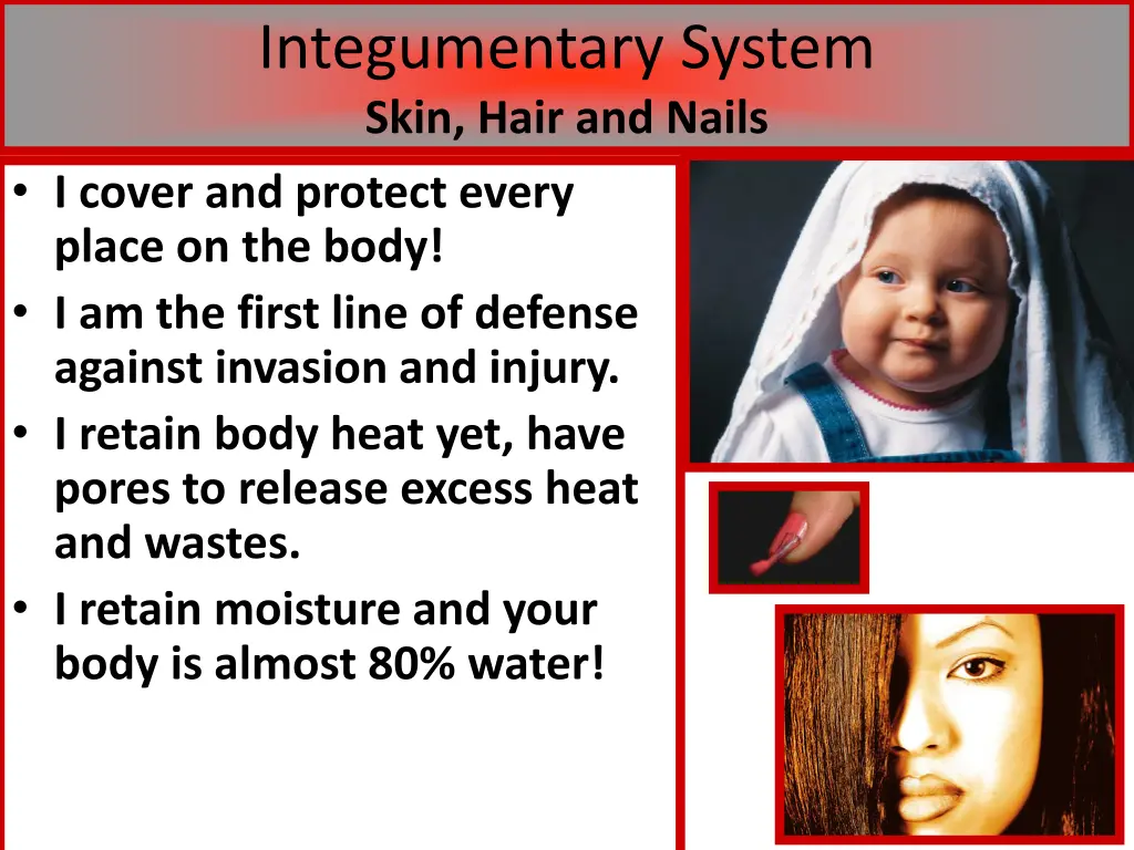 integumentary system skin hair and nails i cover