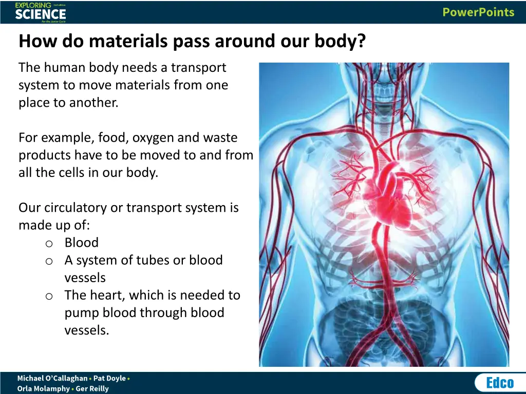 how do materials pass around our body