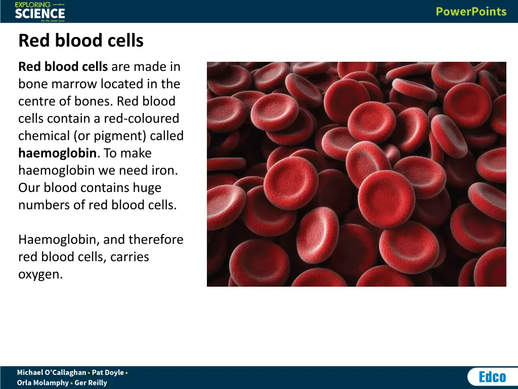 red blood cells