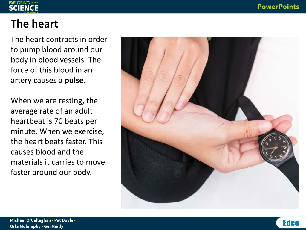 the heart 1