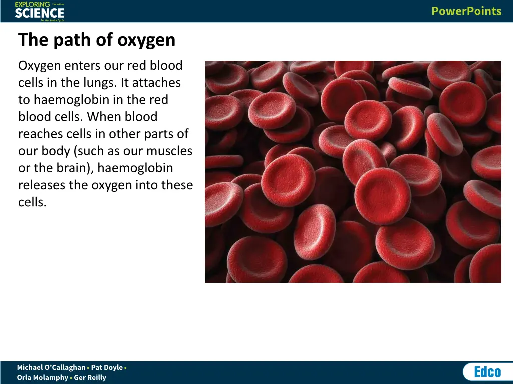 the path of oxygen
