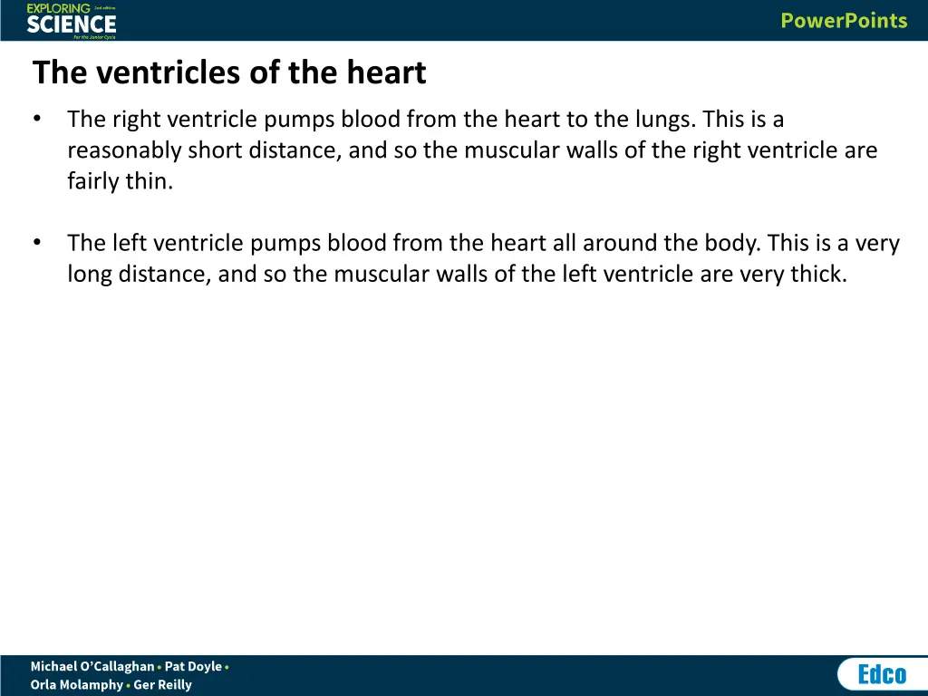 the ventricles of the heart the right ventricle