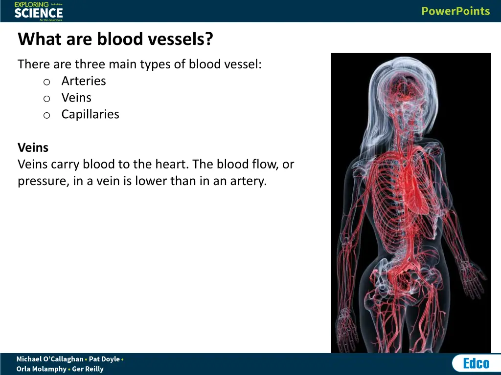 what are blood vessels 1