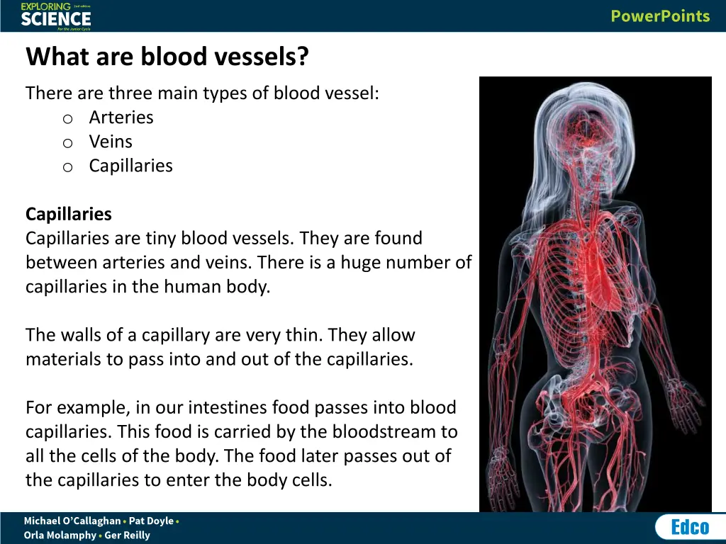 what are blood vessels 2
