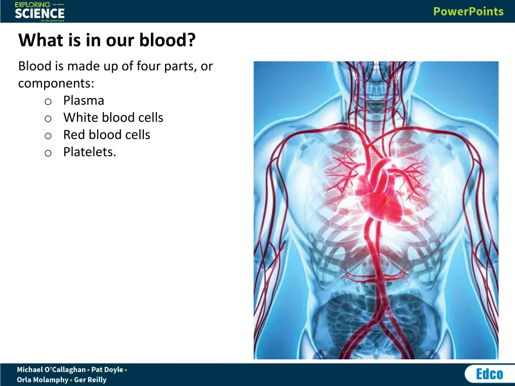what is in our blood