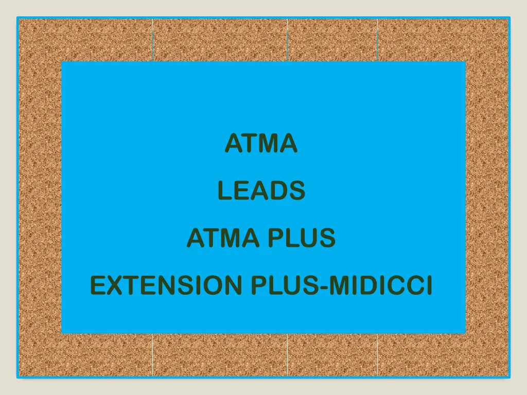 slide19