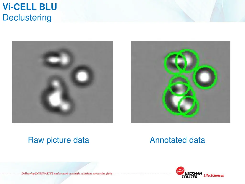 vi cell blu declustering