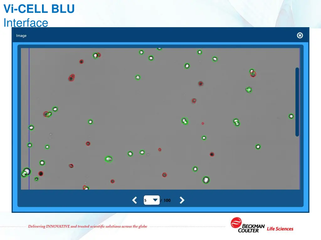 vi cell blu interface 1