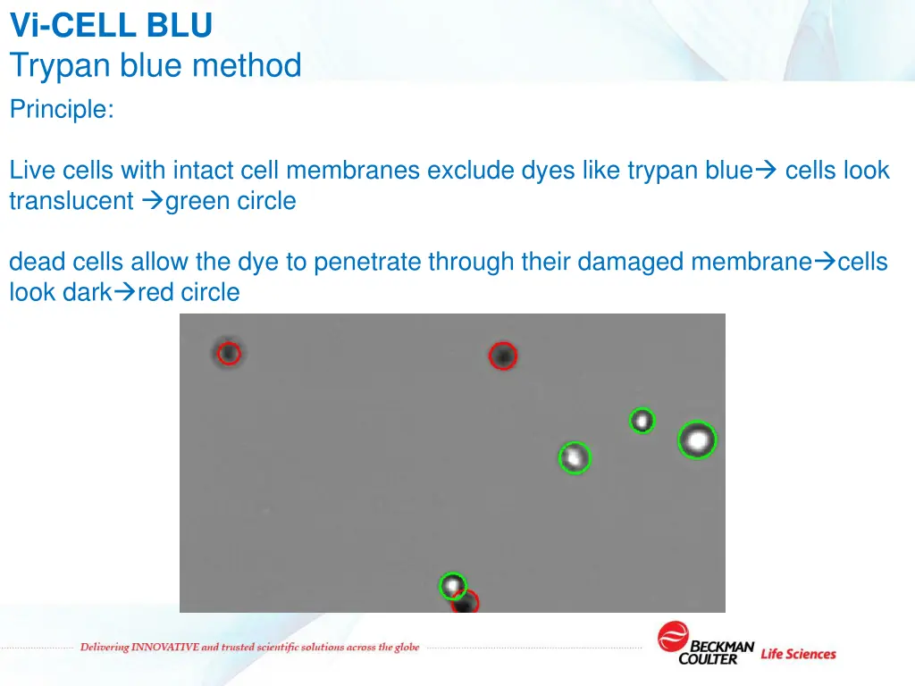 vi cell blu trypan blue method principle
