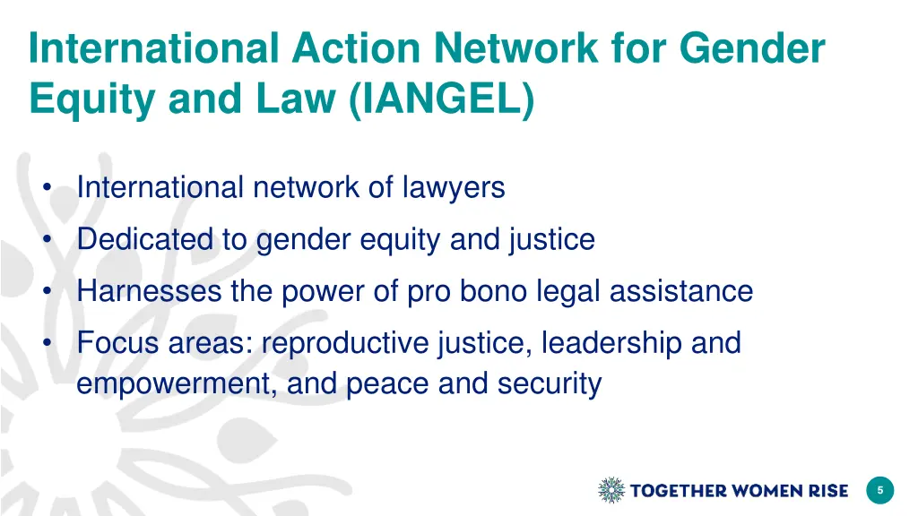 international action network for gender equity