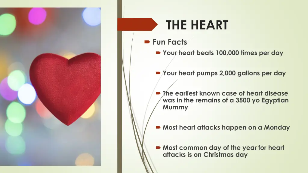 the heart