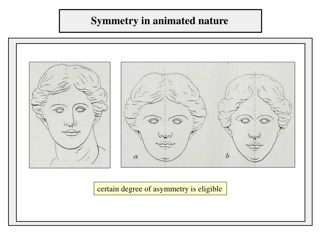 symmetry in animated nature 1