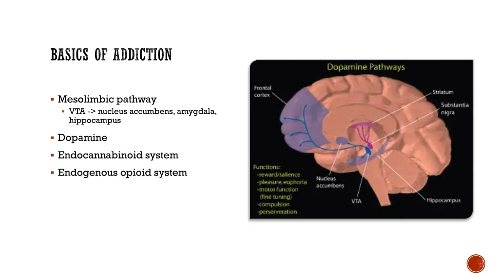 basics of addiction