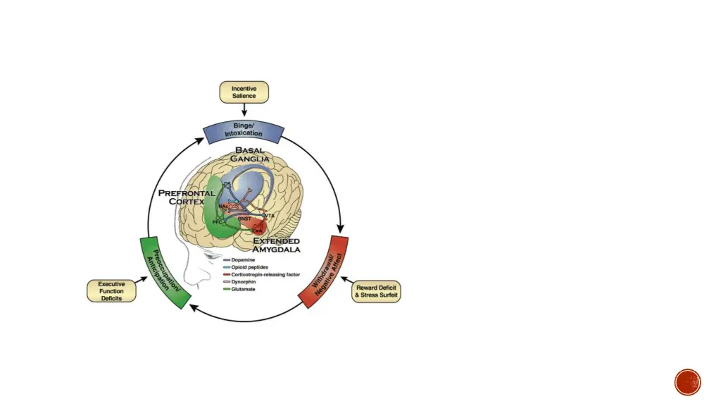 cycle of addiction