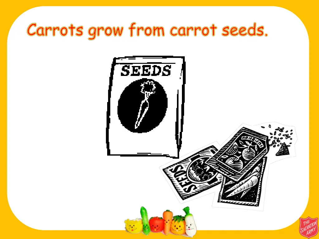 carrots grow from carrot seeds