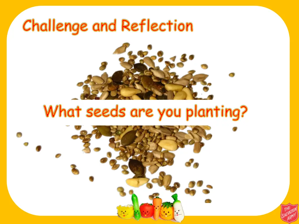 challenge and reflection
