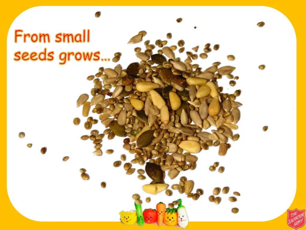 from small seeds grows