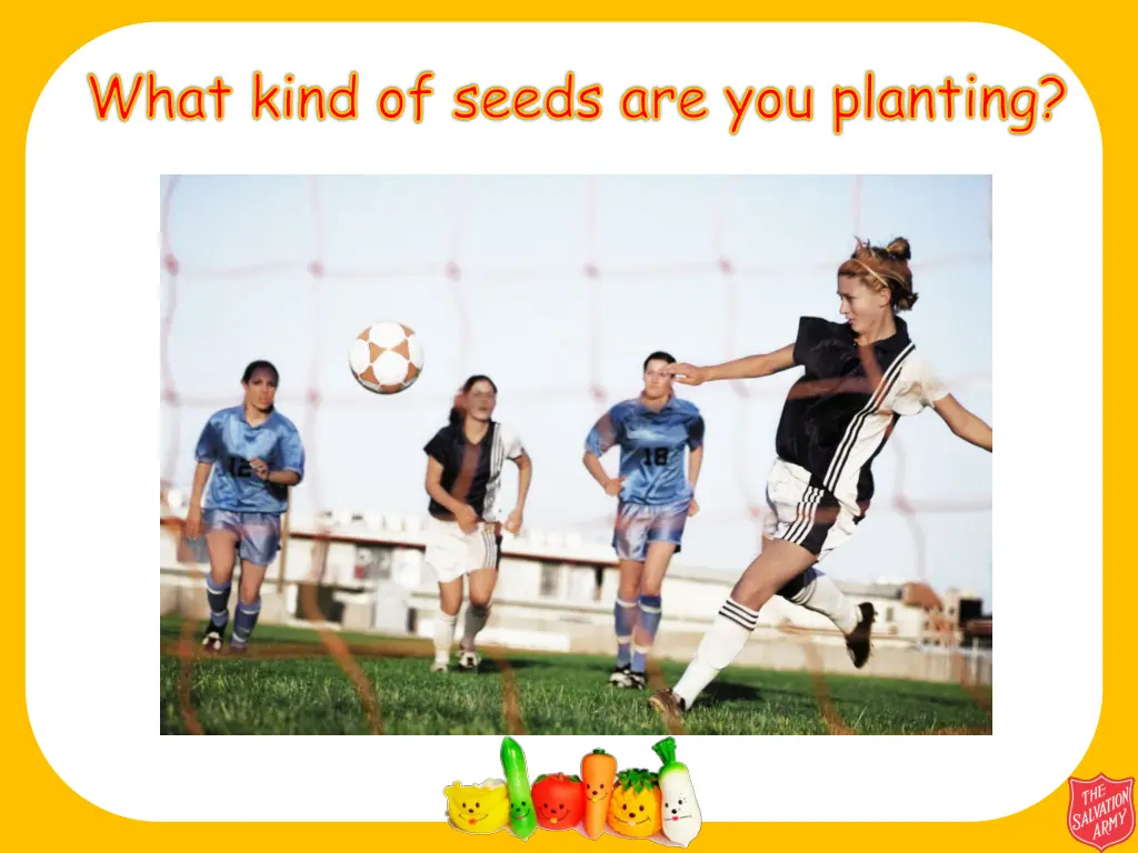 what kind of seeds are you planting 1