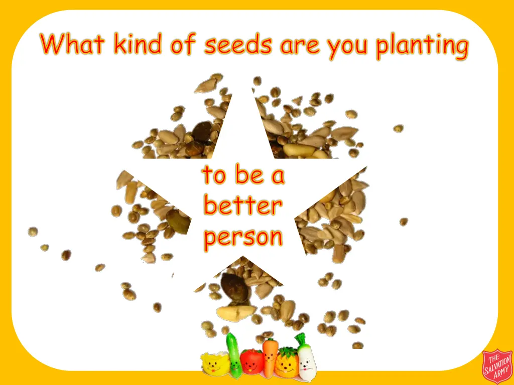 what kind of seeds are you planting 3