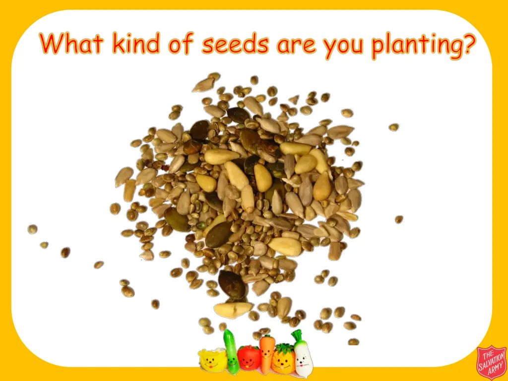 what kind of seeds are you planting