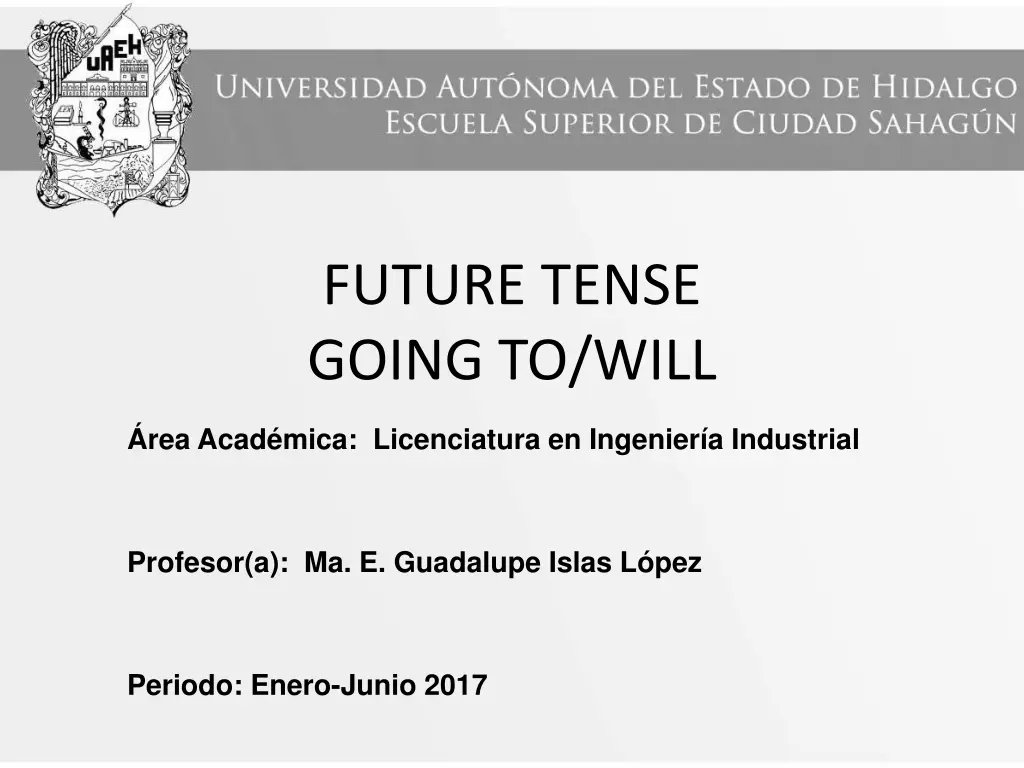 future tense going to will